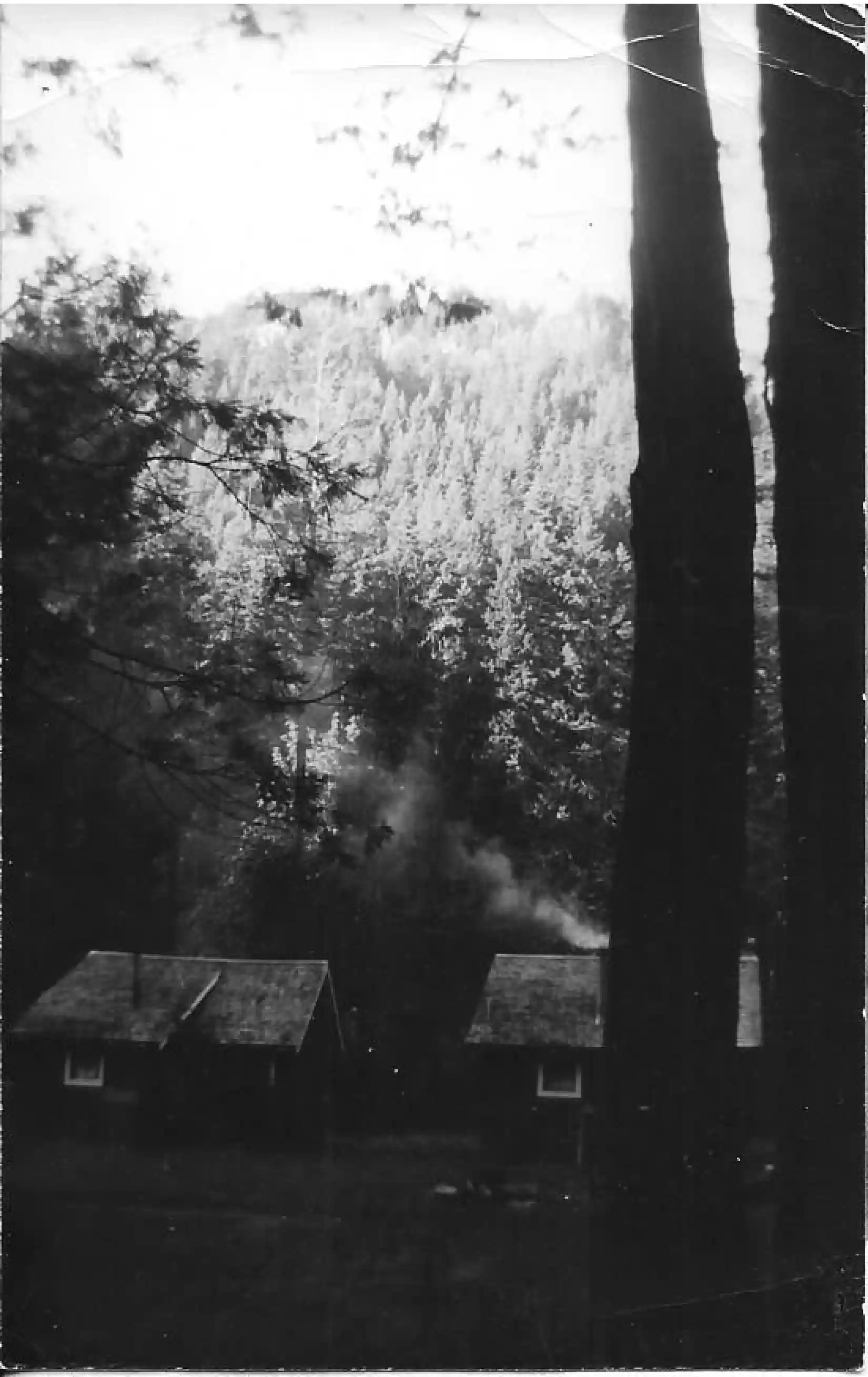 Belknap Springs Feast Cabins early 1950s-by Kenneth Herrmann